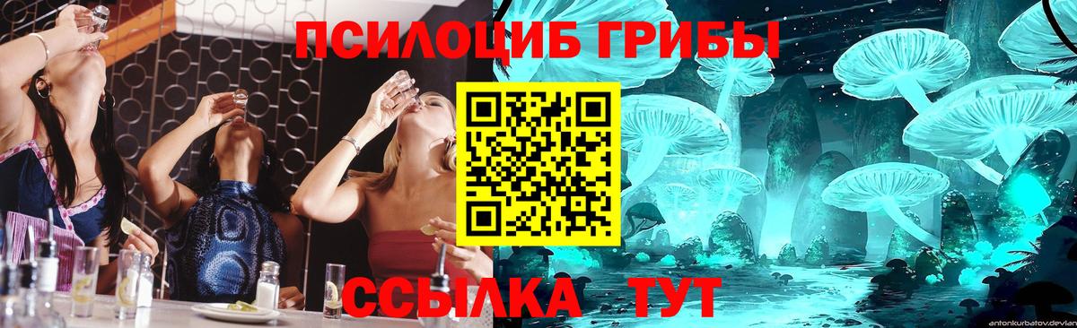 Галлюциногенные грибы мицелий Кунгур